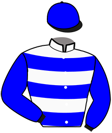 Casaque n°12