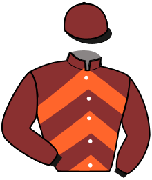 Casaque n°6