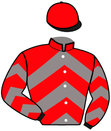 Casaque n°6