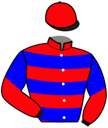 Casaque n°8