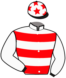 Casaque n°4
