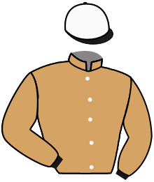Casaque n°6