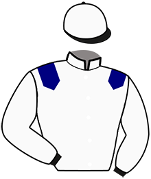 Casaque n°11
