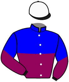Casaque n°10