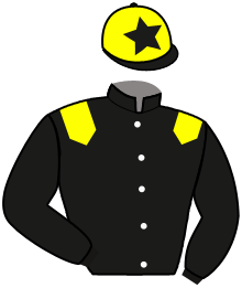 Casaque n°2