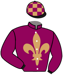 Casaque n°4