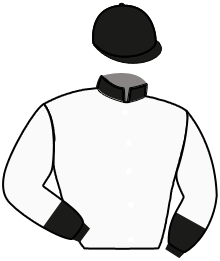 Casaque n°11