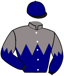Casaque n°2