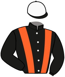 Casaque n°10