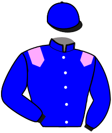 Casaque n°2