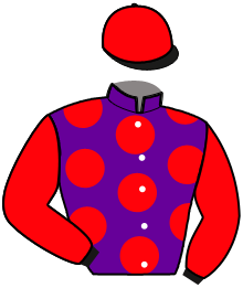 Casaque n°8