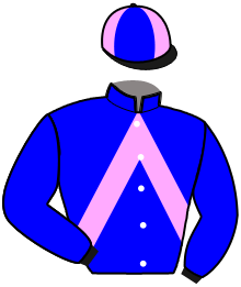 Casaque n°11