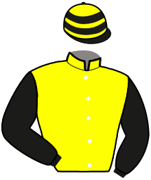 Casaque n°2