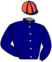 Casaque n°7