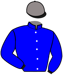 Casaque n°2