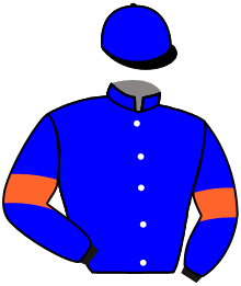 Casaque n°10