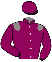 Casaque n°2