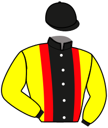 Casaque n°4