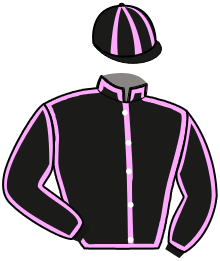Casaque n°10