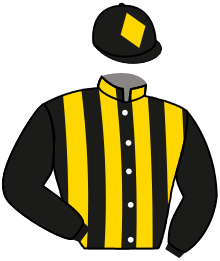 Casaque n°2