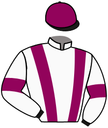 Casaque n°13