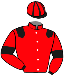 Casaque n°8