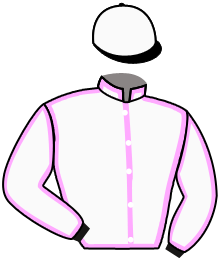 Casaque n°15