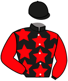 Casaque n°11