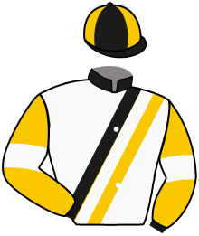 Casaque n°11