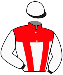 Casaque n°6