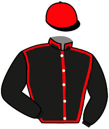 Casaque n°2