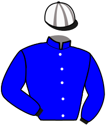 Casaque n°8