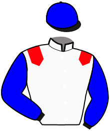 Casaque n°6