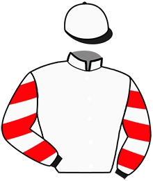 Casaque n°6