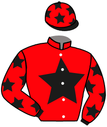 Casaque n°3