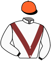 Casaque n°2