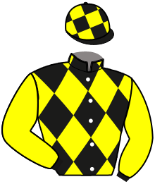 Casaque n°13