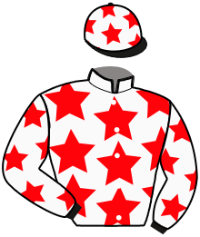 Casaque n°3