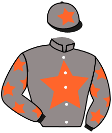 Casaque n°2