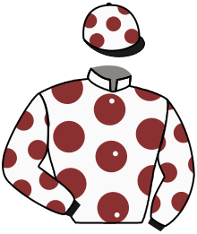 Casaque n°4