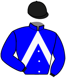 Casaque n°10