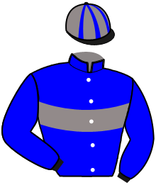 Casaque n°4