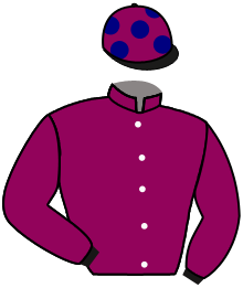 Casaque n°4