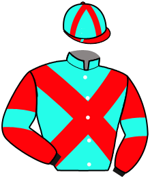 Casaque n°11
