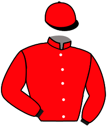 Casaque n°9