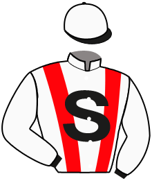 Casaque n°2