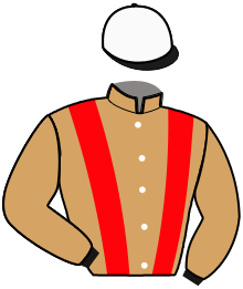Casaque n°5