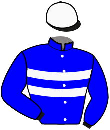 Casaque n°8