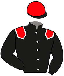 Casaque n°3