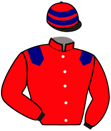 Casaque n°8